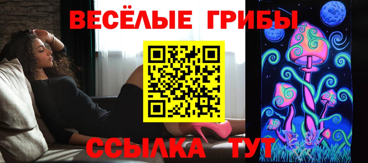 Луга  купить наркоту  Вход с VPN  Галлюциногенные грибы мицелий  Псилоцибиновые грибы GOLDEN TEACHER 
