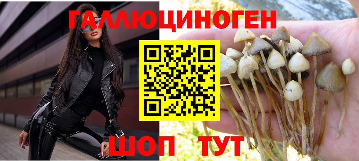 Галлюциногенные грибы Cubensis Луга